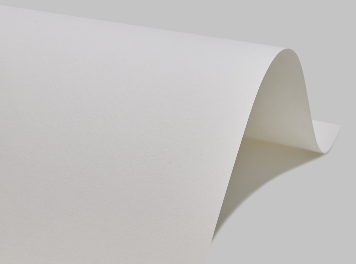 160-70X100-125-L SHIRO ECHO WHITE БЕЛЫЙ картон