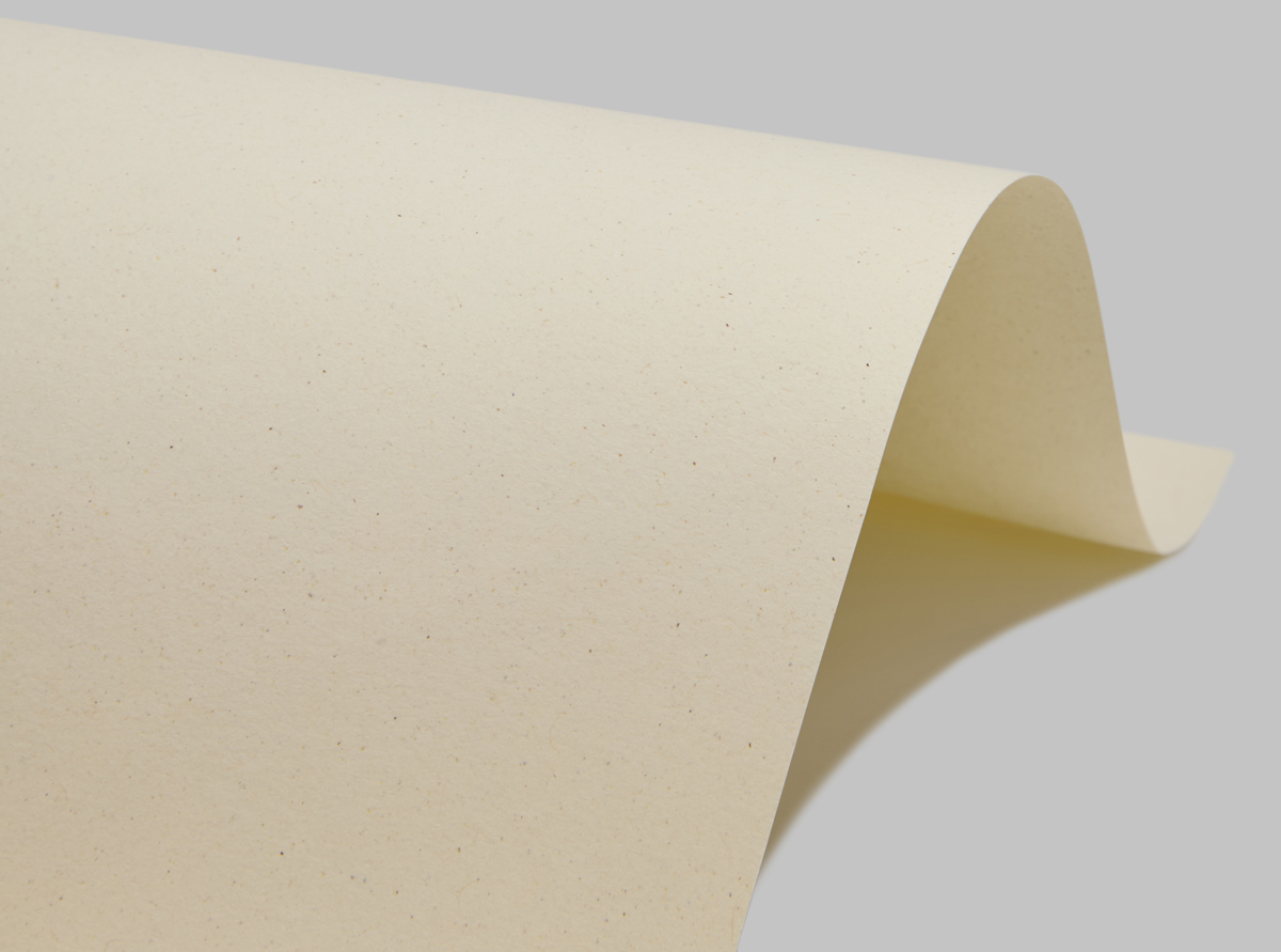 250-72X102-100-L CRUSH CITRUS СЛОНОВАЯ КОСТЬ картон
