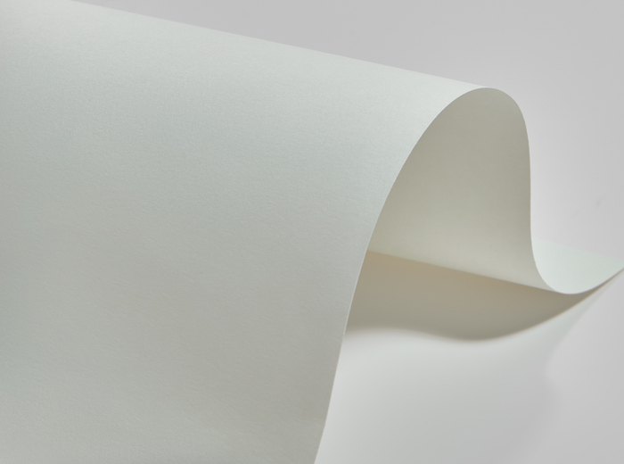 150-787X1092-250-L BAMBOO Слоновая кость бумага